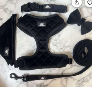 Harness Sets