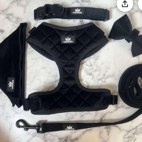 Three Piece Oxford Style Set - Image 2