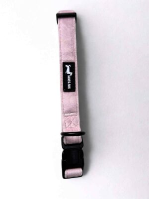 Velvet Pink Collar