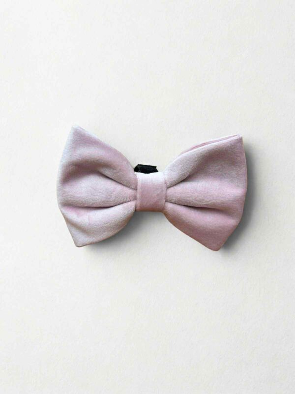 Velvet Pink Bow Tie