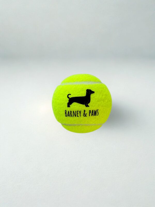 Bark & Bounce Tennis Ball