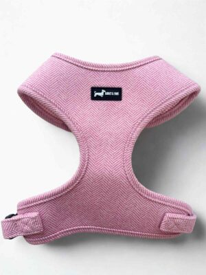 Herringbone Rose Adjustable Neck Harness