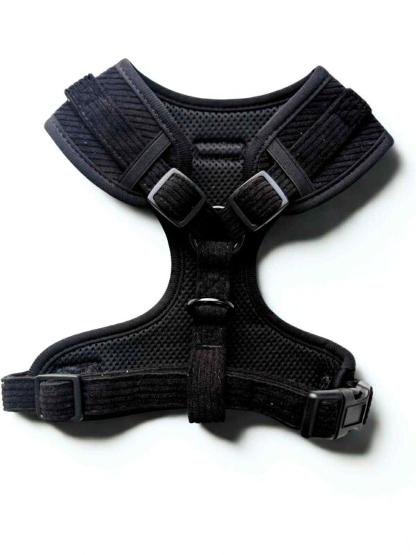 Midnight Cord Adjustable Neck Harness