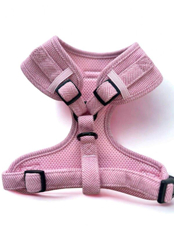 Herringbone Rose Adjustable Neck Harness