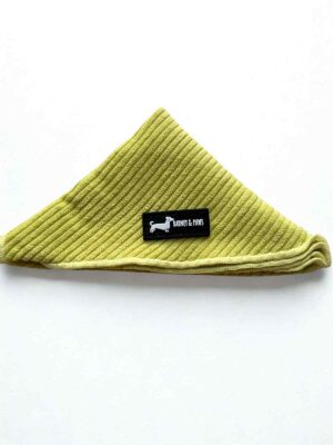 Pawsacchio Green Bandana