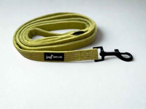 Pawssachio Green Lead