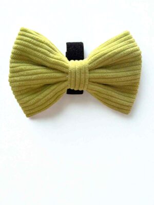 Pawsacchio Green Bow Tie