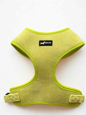 Pawssachio GReen Adjustable Neck Harness