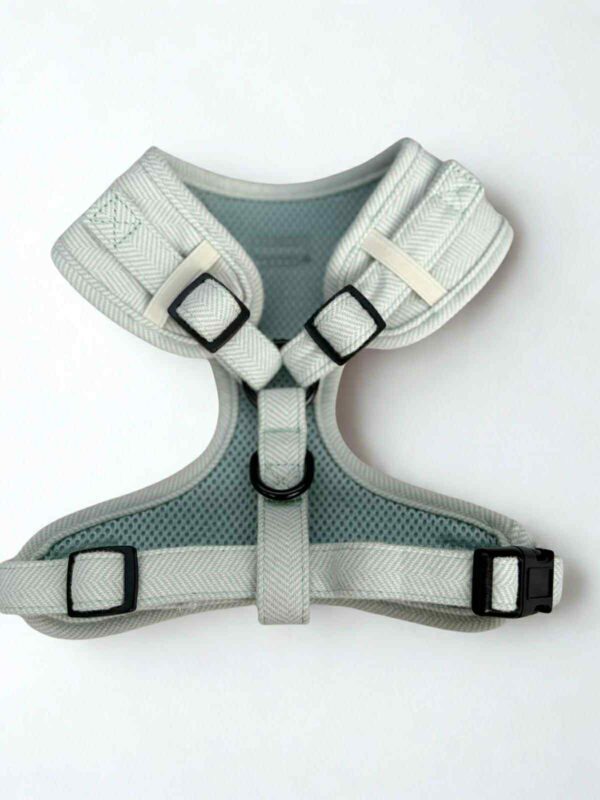 Herringbone Sage Adjustable Neck Harness