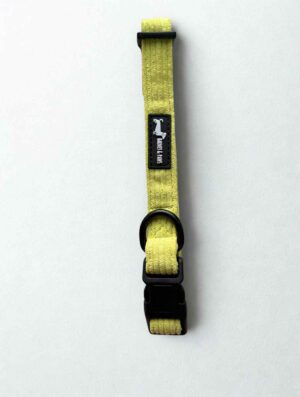 Pawsacchio Green Collar