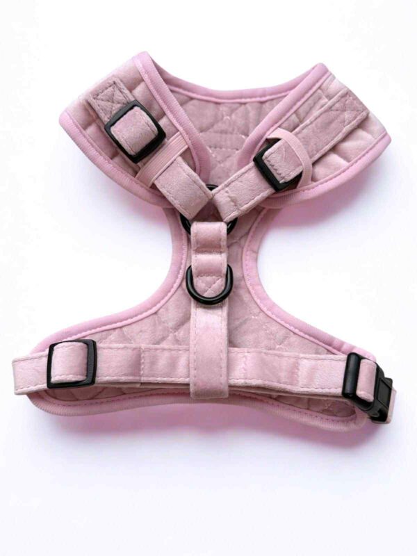 Velvet Pink Adjustable Neck Harness