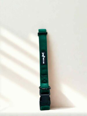 "Velvet Forest" Collar