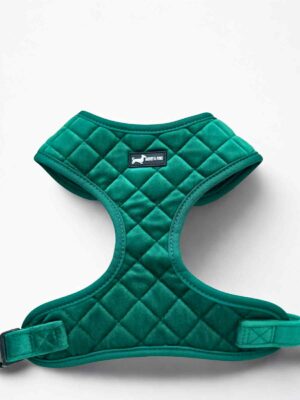 Velvet Forest Harness