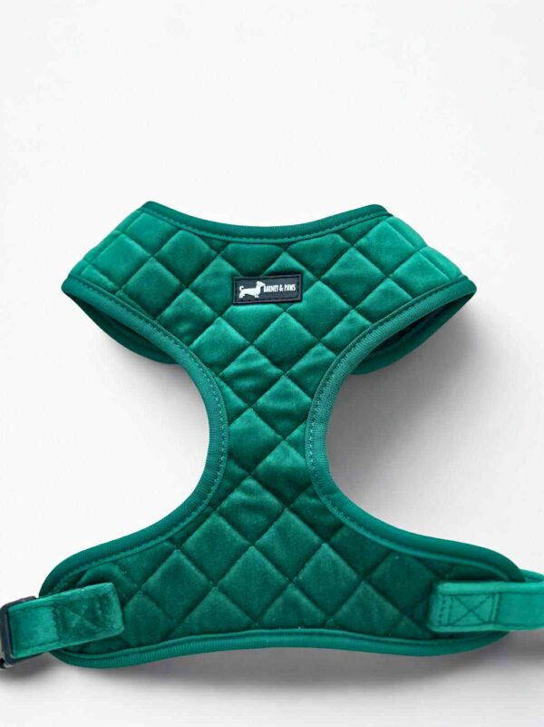 Velvet Forest Harness