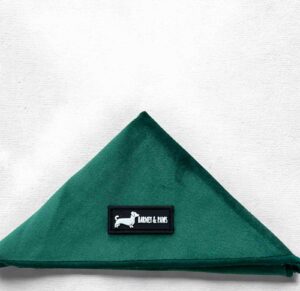 Velvet Forest Bandana