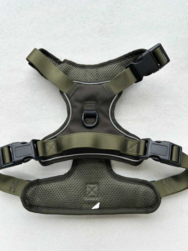"Woodland Moss" Oxford 3-Click Neck Harness - Image 2