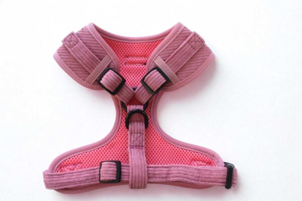 Dusty Rose Harness
