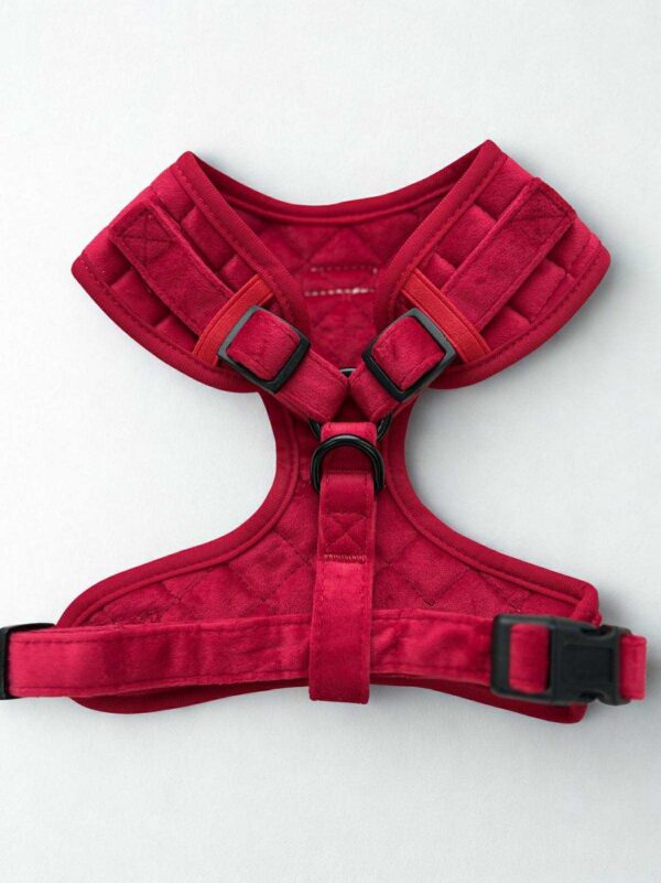 Strawberry Plush Harness