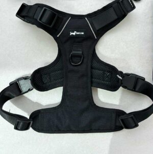 Bark in Black Harness