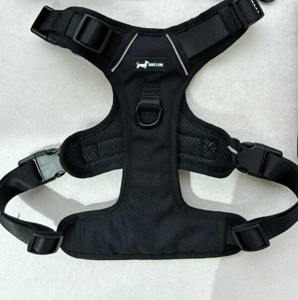 Bark in Black Harness