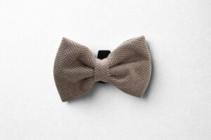 Herringbone Oat Bow Tie
