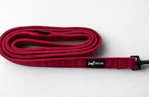 Strawberry Plush Lead