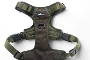 "Woodland Moss" Oxford 3-Click Neck Harness