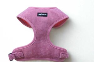 Dusty Rose Harness