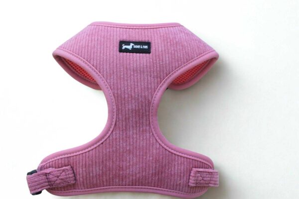 Dusty Rose Harness