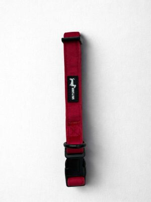 Strawberry Plush Collar