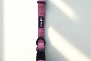 Dusty Rose Collar