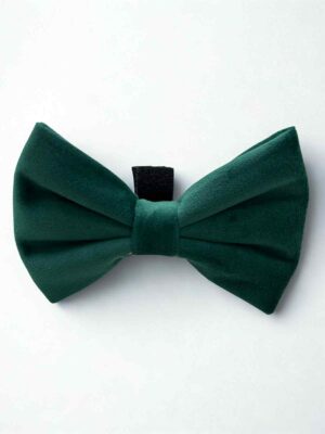 Velvet Forest Bow Tie