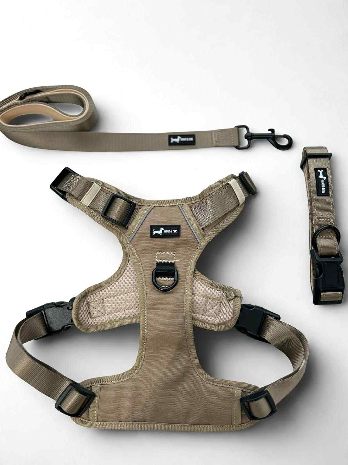 Olive Dune Collection Olive Dune Collection